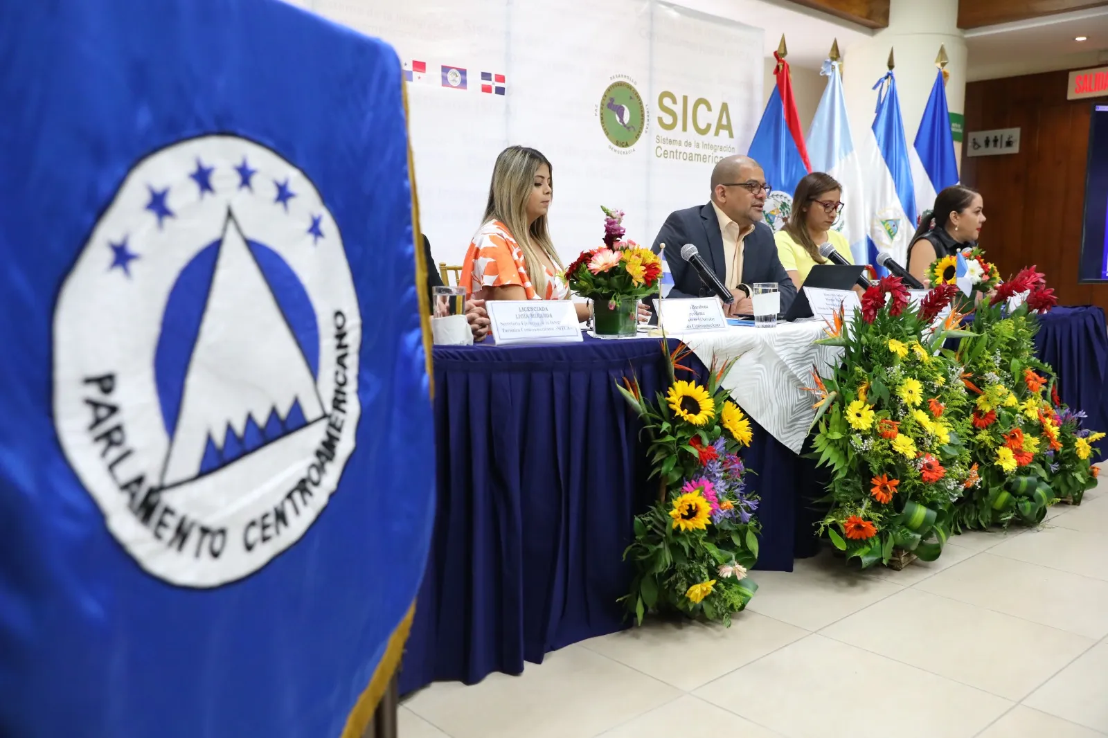 Caso de Éxito CATA Campaña Intrarregional