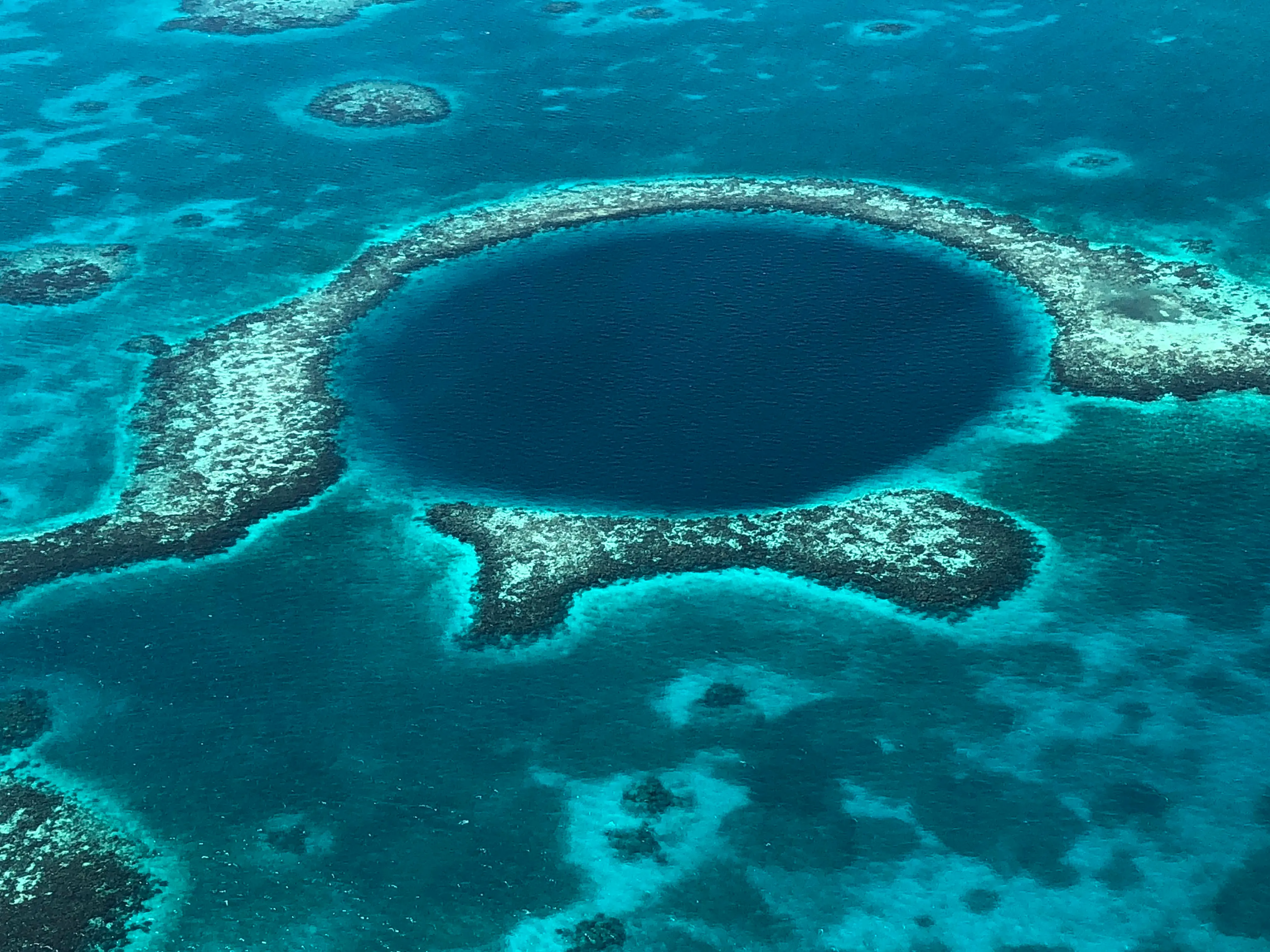 Caso de Éxito WWF Caribe Maya